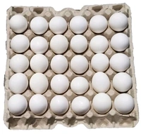 Poultry Eggs - 5 Pcs
