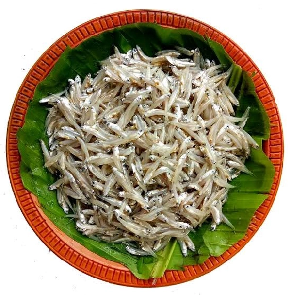 Kachki Fish - 300gm