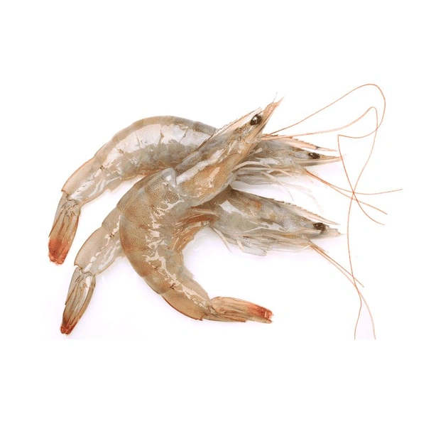 Chingri Fish - Medium Size - 500gm