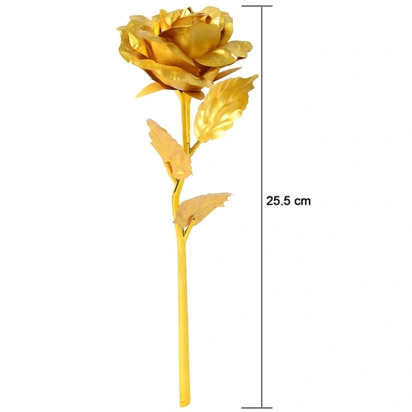 Golden Rose is perfect for decorating homes, offices, cafes