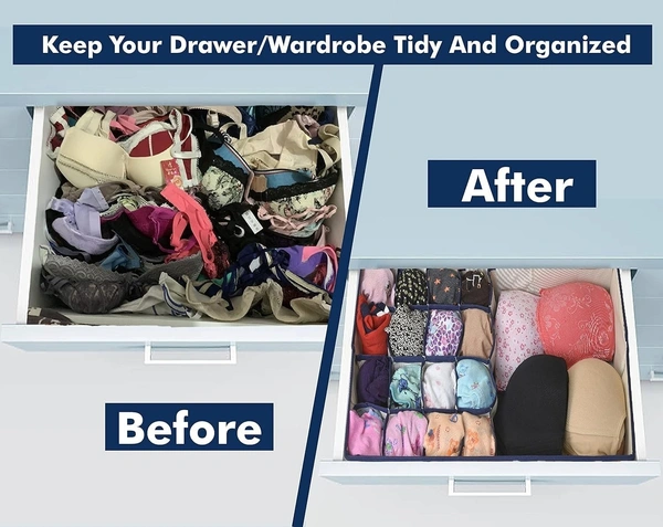 daily days 17 Grid Storage Box Drawer Organizer, Underwear Innerwear Socks Undergarments Storage Drawer Organiser (Blue Dotted) - Blue