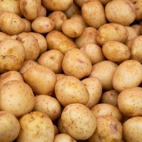 Potato Agra New Crop - 22kg