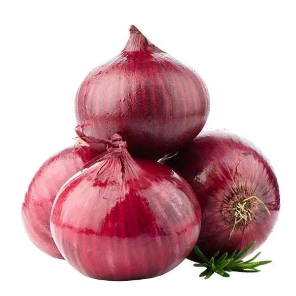 ONION SOLAPUR-50KG red sake