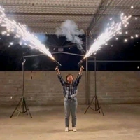 Small Birthday Plain 