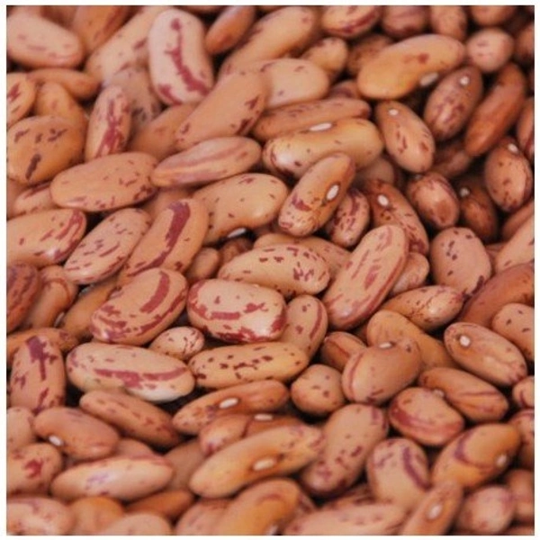 Rajma Chitra Medium -1kg