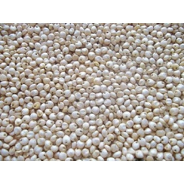 Jwar Dana - 5 Kg
