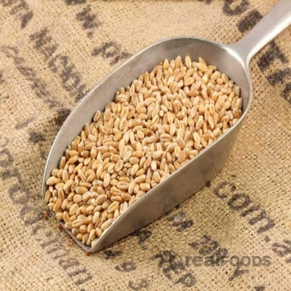 Certified Organic Wheat - 50 Kg