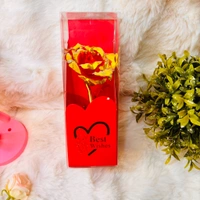 Beautiful Rose For Valentine’s Day