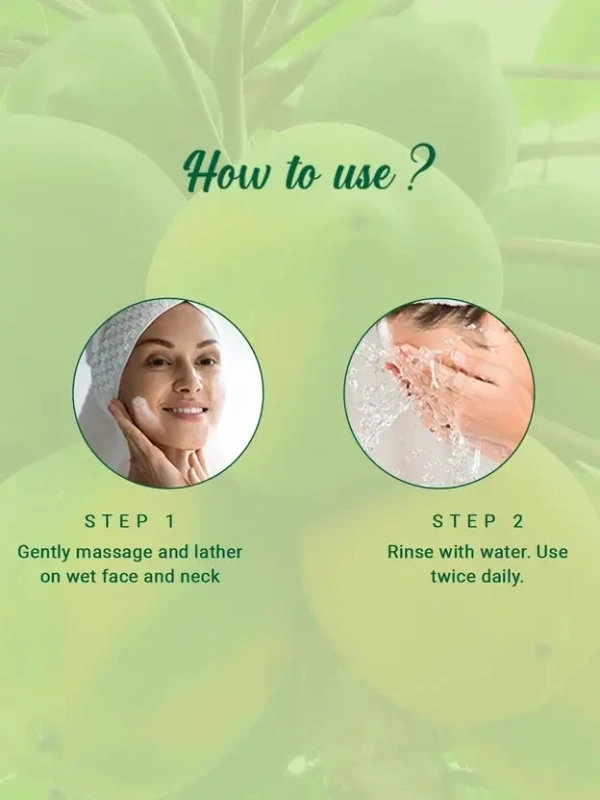 BIOTIQUE Bio Papaya Deep Cleanse Face Wash 100 ml - 100ml, Biotique