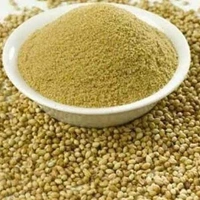 MM Regular Coriender Powder/धनिया पाउडर 250g - 250g, MM