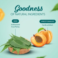 Himalaya Herbals Purifying Neem Scrub, 100gm - 100g, Himalaya