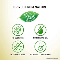 Parachute Advansed Advansed Soft Touch Body Lotion  400ml - 400ml, Parachute