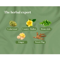 Himalaya Pain Relief Oil, 100ml - 100ml, Himalaya