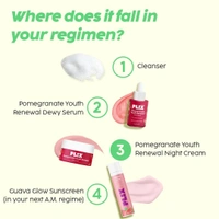 The Plant Fix Plix Pomegranate Anti Ageing Night Cream  (50 g) - 50g, Plix