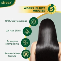 Streax Insta Shampoo Hair Colour, Natural Black - Streax