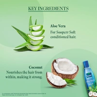 Parachute Advansed Aloe Vera Coconut Hair Oil 400ml - 400ml, Parachute