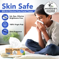 The Honest Home Company 2 Ply Facial Tissues Box 100 Pulls Pack Of 1 - 20cmx20cm, Facial Tissue