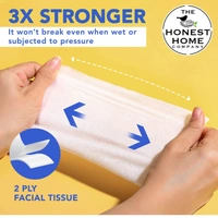 The Honest Home Company 2 Ply Facial Tissues Box 100 Pulls Pack Of 1 - 20cmx20cm, Facial Tissue
