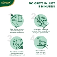 Streax Insta Shampoo Hair Colour, Natural Black - Streax