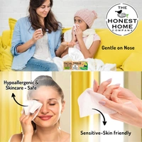 The Honest Home Company 2 Ply Facial Tissues Box 100 Pulls Pack Of 1 - 20cmx20cm, Facial Tissue