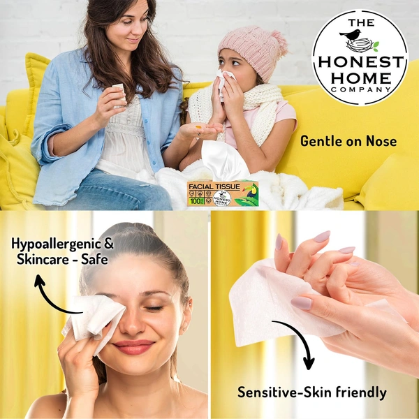 The Honest Home Company 2 Ply Facial Tissues Box 100 Pulls Pack Of 1 - 20cmx20cm, Facial Tissue