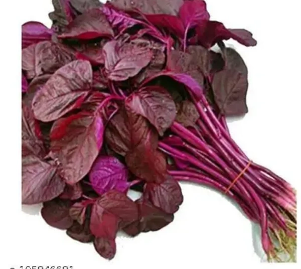 Red amaranth / लालभाजी - 500g