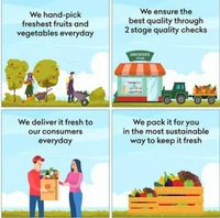 Sponge Gourd / तोरई(Regular) - 500g