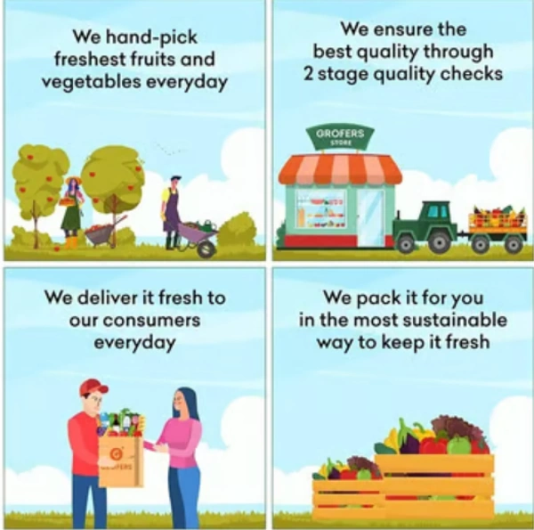 Sponge Gourd / तोरई(Regular) - 500g