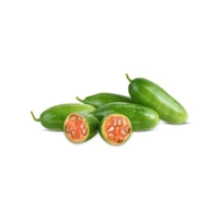 Coccinia / कुंदरू(Local) - 1 Kg