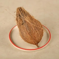 Brown Coconut / नारियल - 