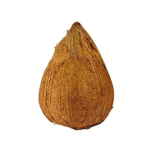 Brown Coconut / नारियल - 