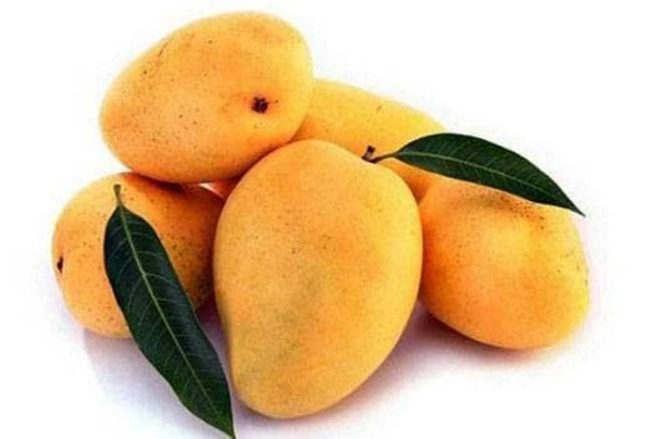 Chausa Mango / चौसा आम - 1 Kg