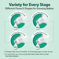 Luvlap Glass Feeding Bottle - 250ml - 250 ml, Luvlap