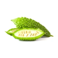 Bitter Gourd / करेला(Regular) - 1 Kg