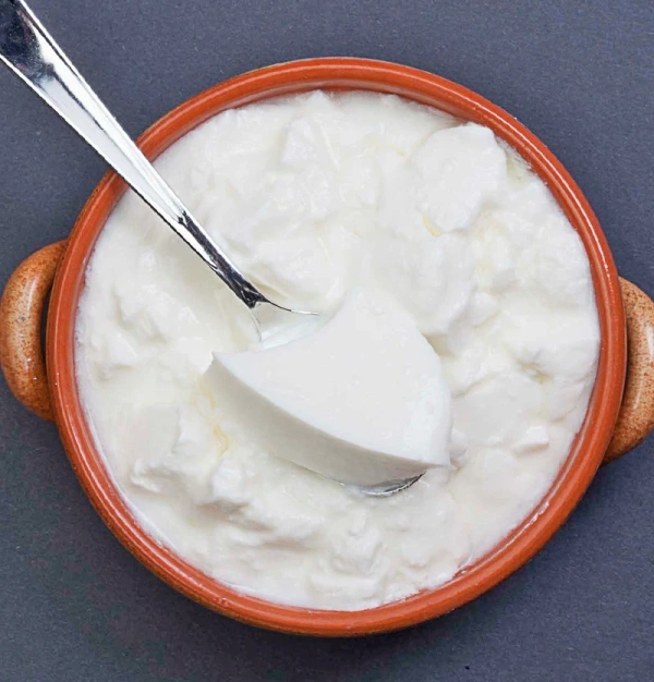 Curd/दही 500g - 500g, MM