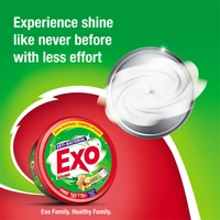 Exo 700 gm Dishwash tub with scrubber - 700g