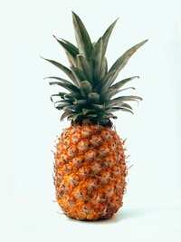 Pineapple / अनानास - 1200-1400, 1unit