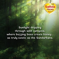 Saffola Honey Active (2 x 350g) - (2 x 350g), Saffola