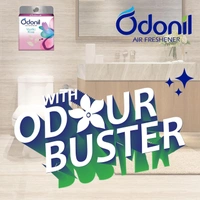 Odonil Bathroom & Toilet Air Freshener Blocks - 288g (72g x 4) - 72g x 4, Odonil