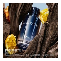DIOR_ Sauvage_ Eau De Toilette 100ml - 100ml