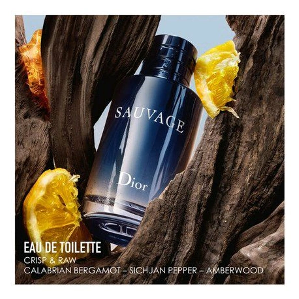 DIOR_ Sauvage_ Eau De Toilette 100ml - 100ml
