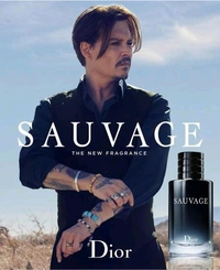 DIOR_ Sauvage_ Eau De Toilette 100ml - 100ml