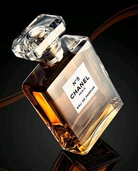 CHANEL_ PARIS No.5 EDP For Women 100ml - 100ml