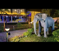 DOOARS (Corporate ) - 2N/3D