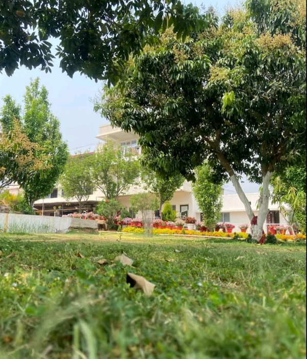 RANCHI & NETARHAT (6th FEB) - 5N/6D