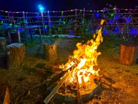 OFFBEAT DARJEELING - 5N/6D