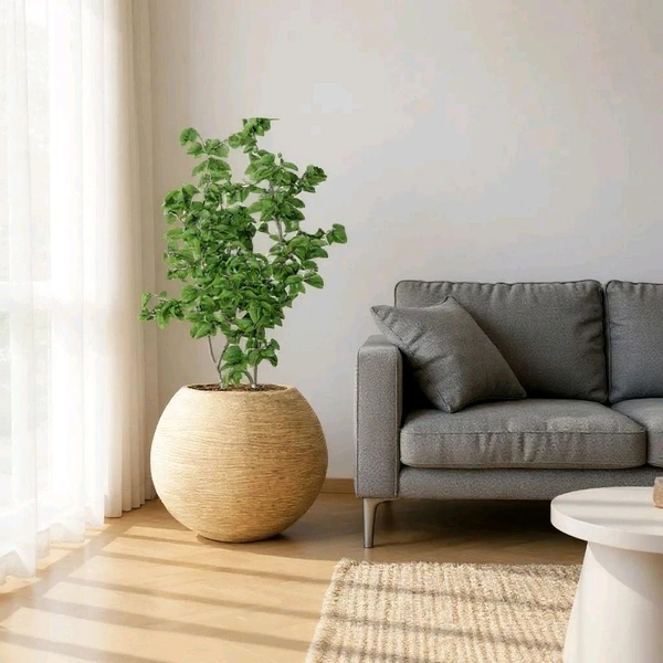 Vrukshveda  Juniper Fiber Planter - Sand Stone