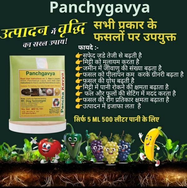 Panchgavya 5 Ml - White, 100 Pic
