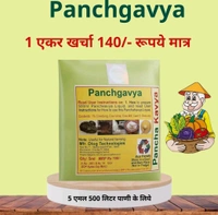 Panchgavya 5 Ml - White, 100 Pic