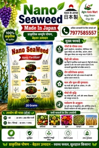 All In One Killer Expert (500Ml) & Nano Seaweed ( 20 Gram) - White, 500 Ml+20gram